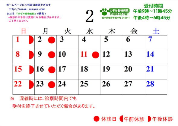 �J�����_�[2