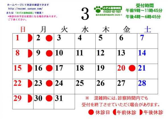 �J�����_�[