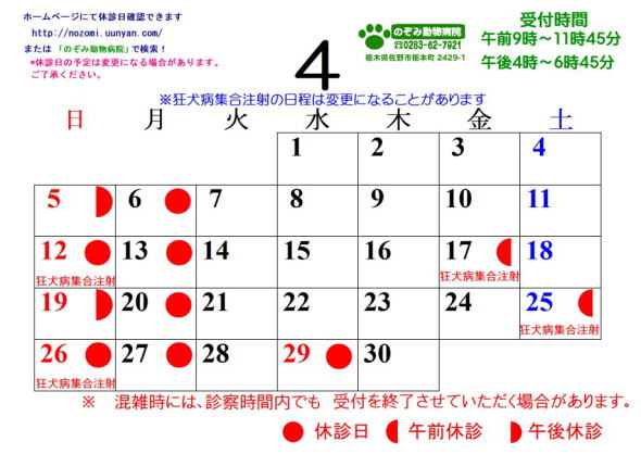 �J�����_�[2