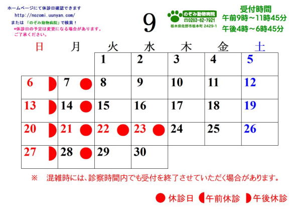 �J�����_�[2